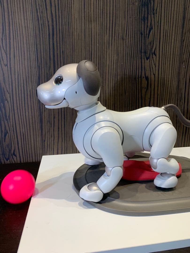 aibo アイボ