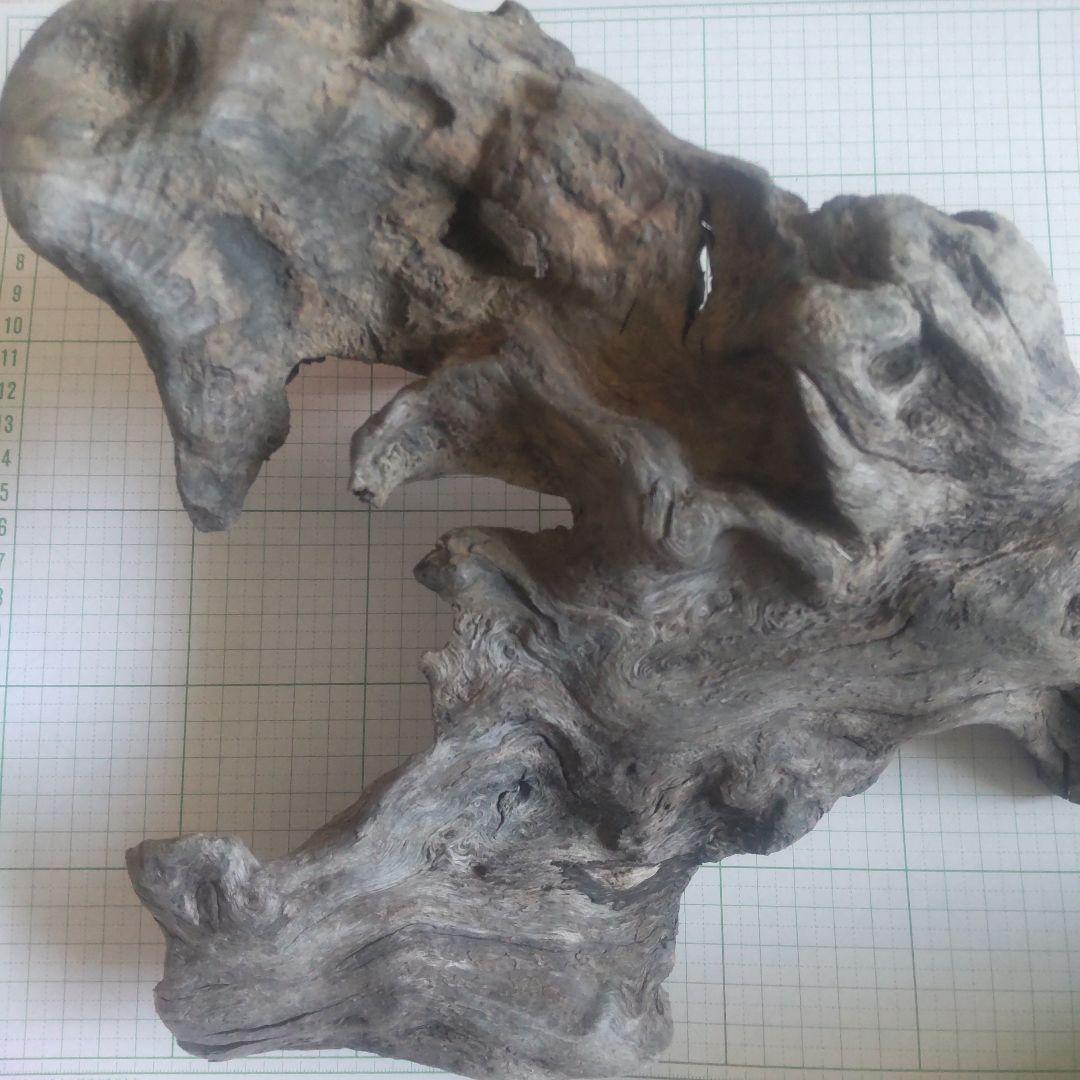 BM、珪化木セット