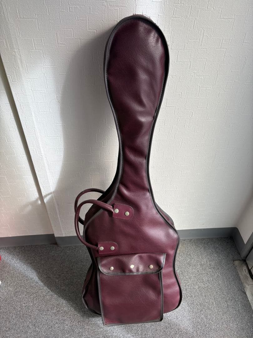 ⭐️希少⭐️ Aria Pro II（アリアプロII）　Black Dog