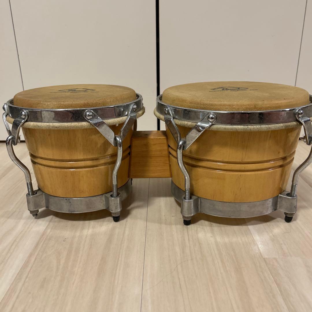 美品 Pearl　ホワイトウッド　ボンゴ