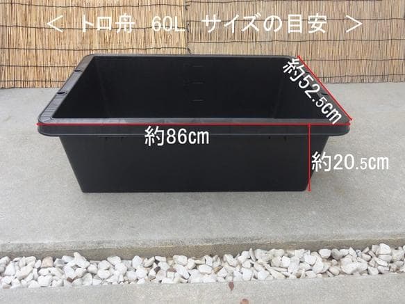 ビオトープ 60Ｌ　トロ舟＆木枠セット（棚付き）　メダカ・金魚飼育用