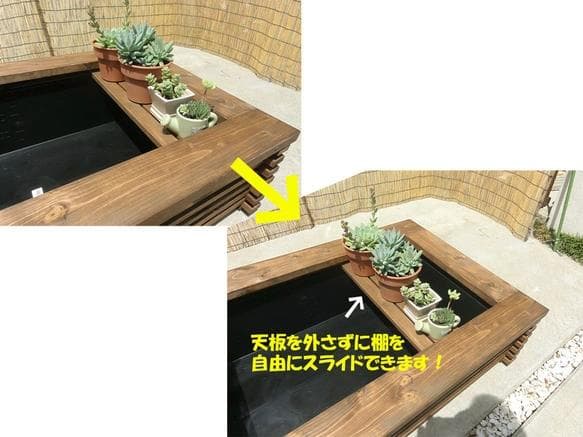 ビオトープ 60Ｌ　トロ舟＆木枠セット（棚付き）　メダカ・金魚飼育用