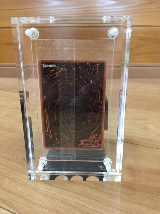 遊戯王 wcs2019 アマツオオカミ　神峰之天津龗