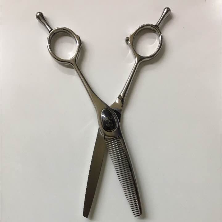 ジョエル 鋏 良い状態