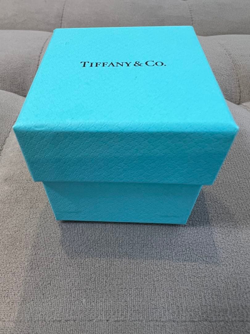 10号／TIFFANY＆Coティファニーバンドリング.プラチナ.ダイヤモンド