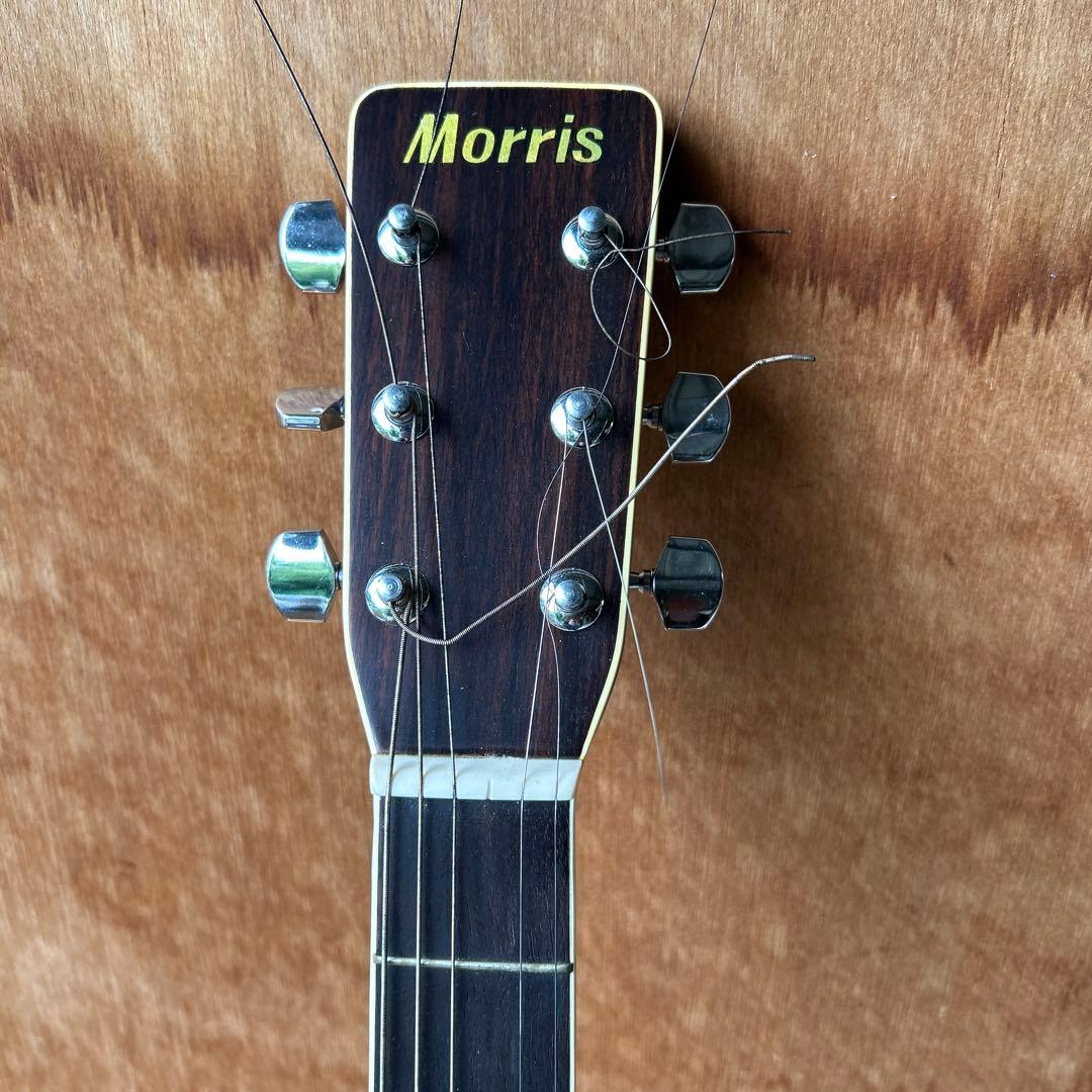Morris アコースティックギター スプルース