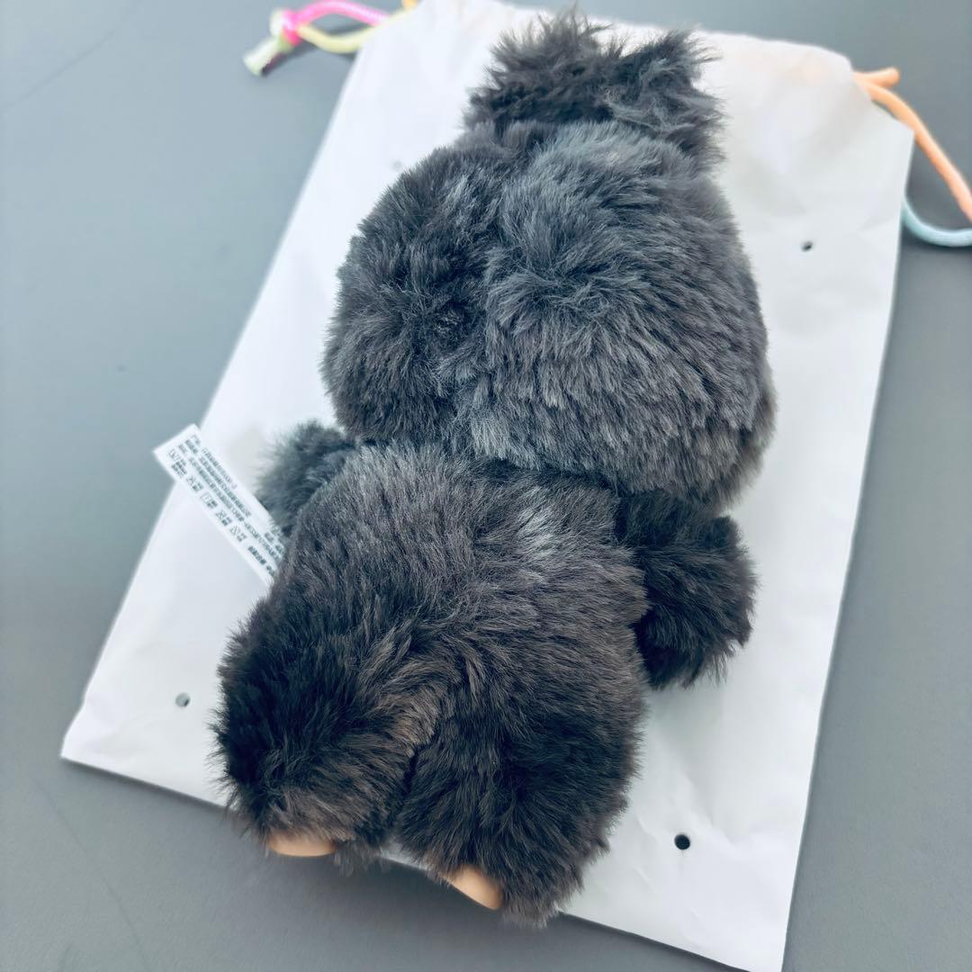 ラブブ エナジー シークレット LABUBU Energy POP 黒