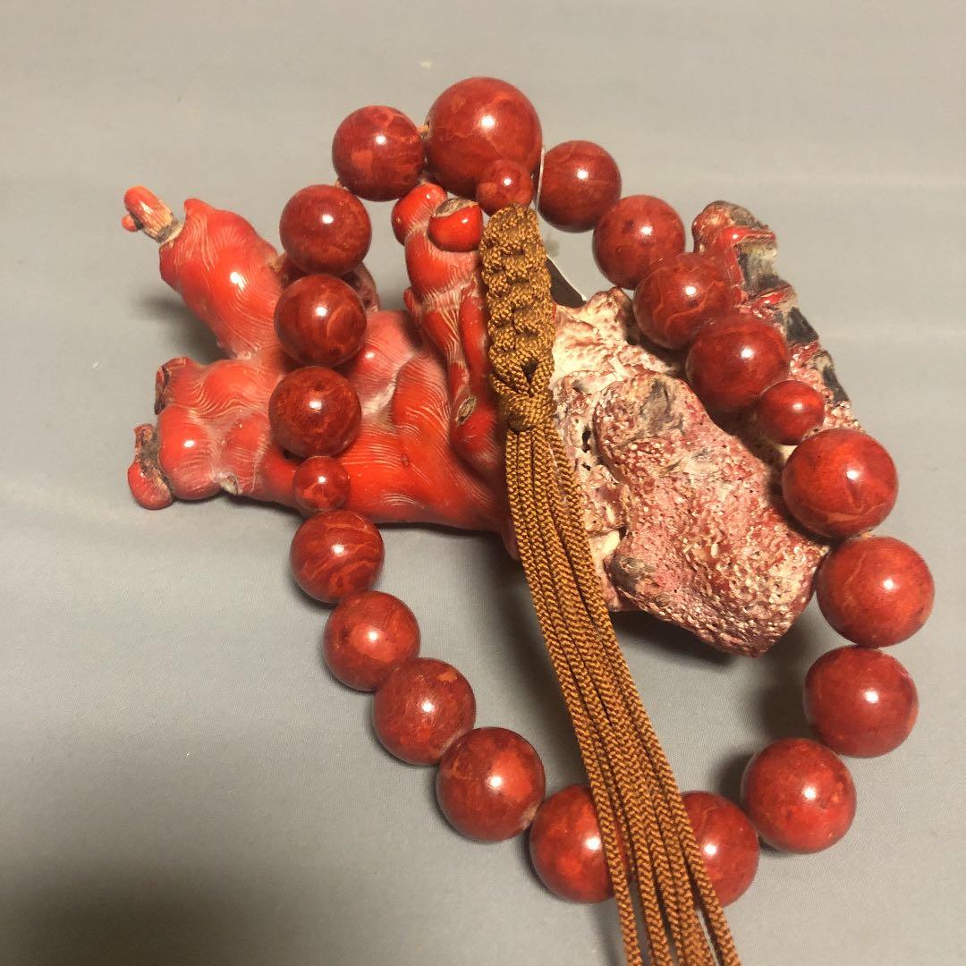 山珊瑚　念珠　原木セット