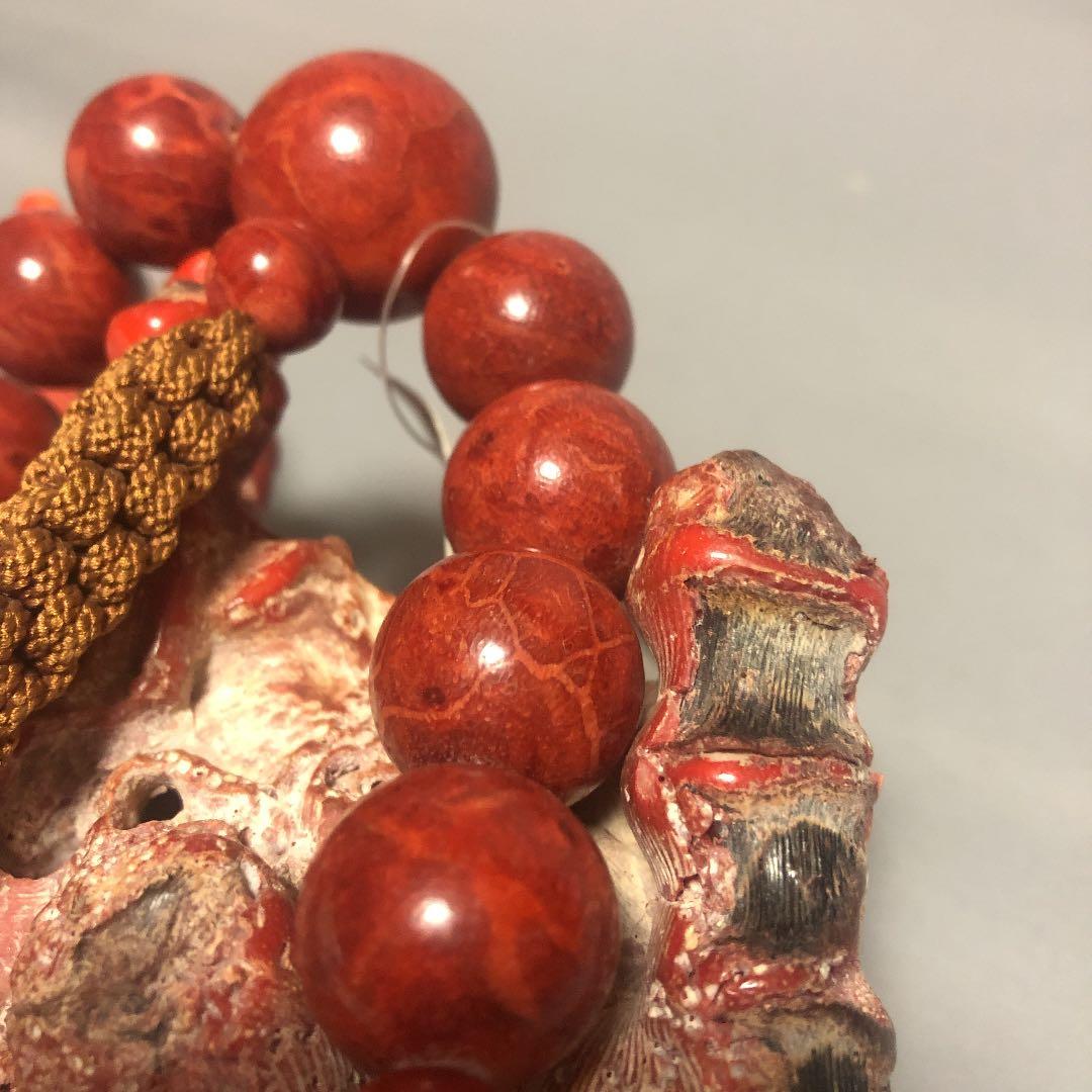 山珊瑚　念珠　原木セット