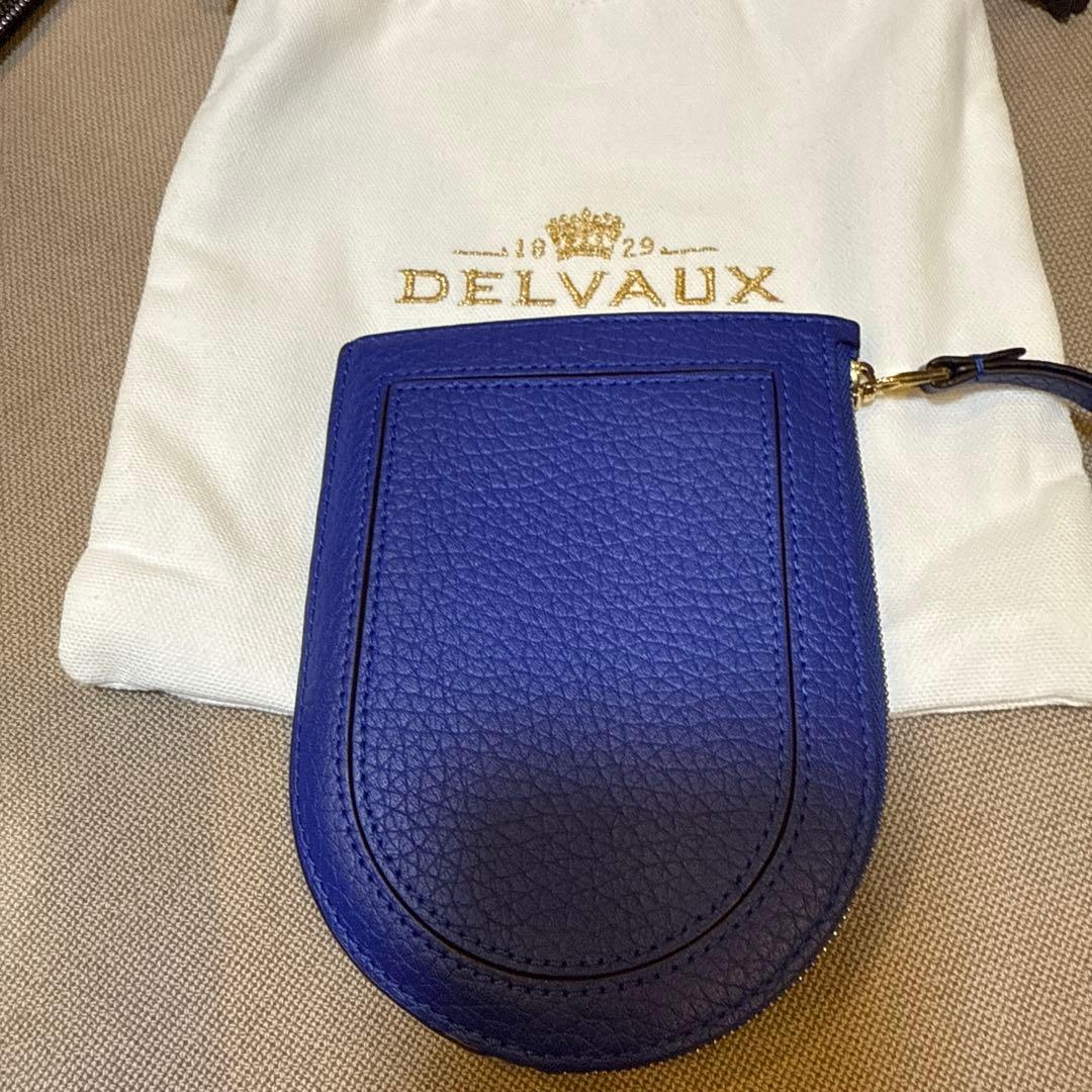 DELVAUX 青 レザー ケース