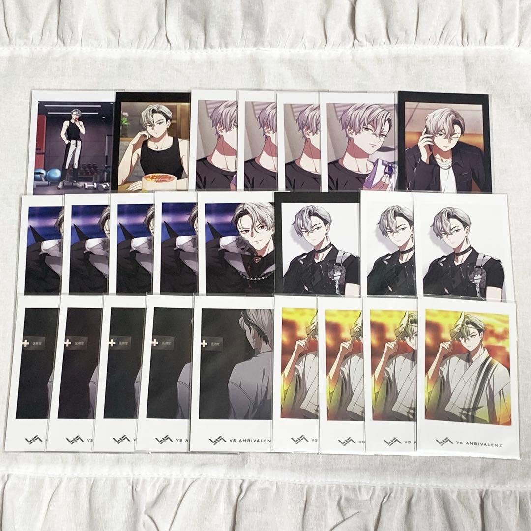 VSAMBIVALENZ XlamV レオン 49点セット