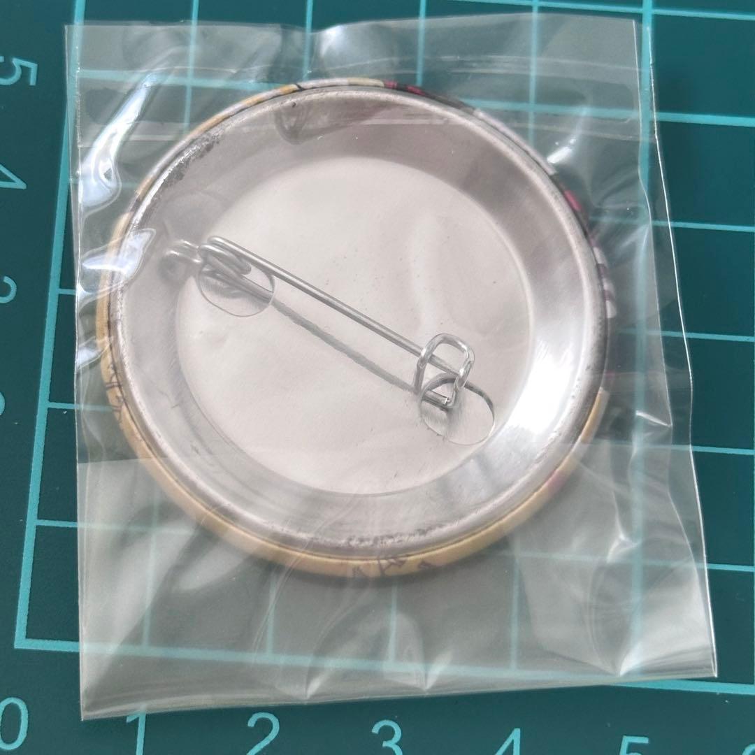 家庭教師ヒットマンREBORN! くつろぎコレクション 缶バッジ ベルフェゴール