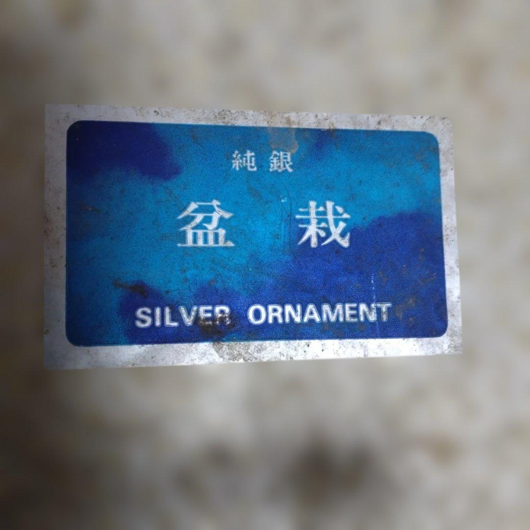 純銀製 光則作 盆栽 2号「松」ガラスケース・紙箱付き