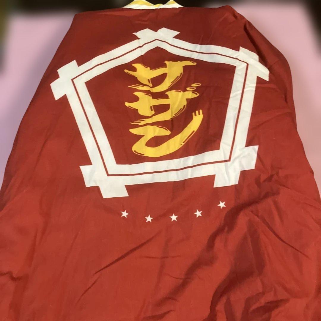 サザンオールスターズ グッズほぼほぼ年越しライブ2020 半纏 サイズ L