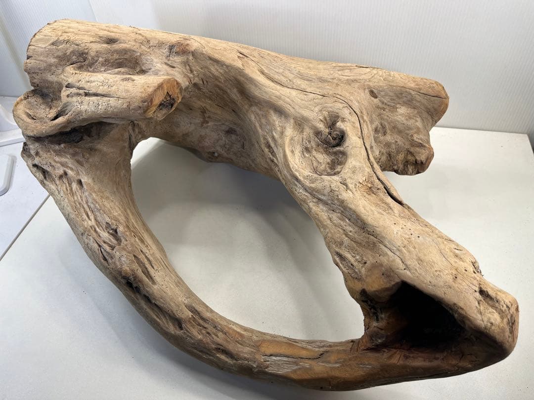 m10特大流木 アク抜き済み 爬虫類シェルター 登り木 インテリア オブジェ