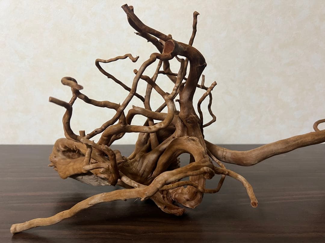 71015 ブランチウッド　流木　アクアリウム　沈水確認済