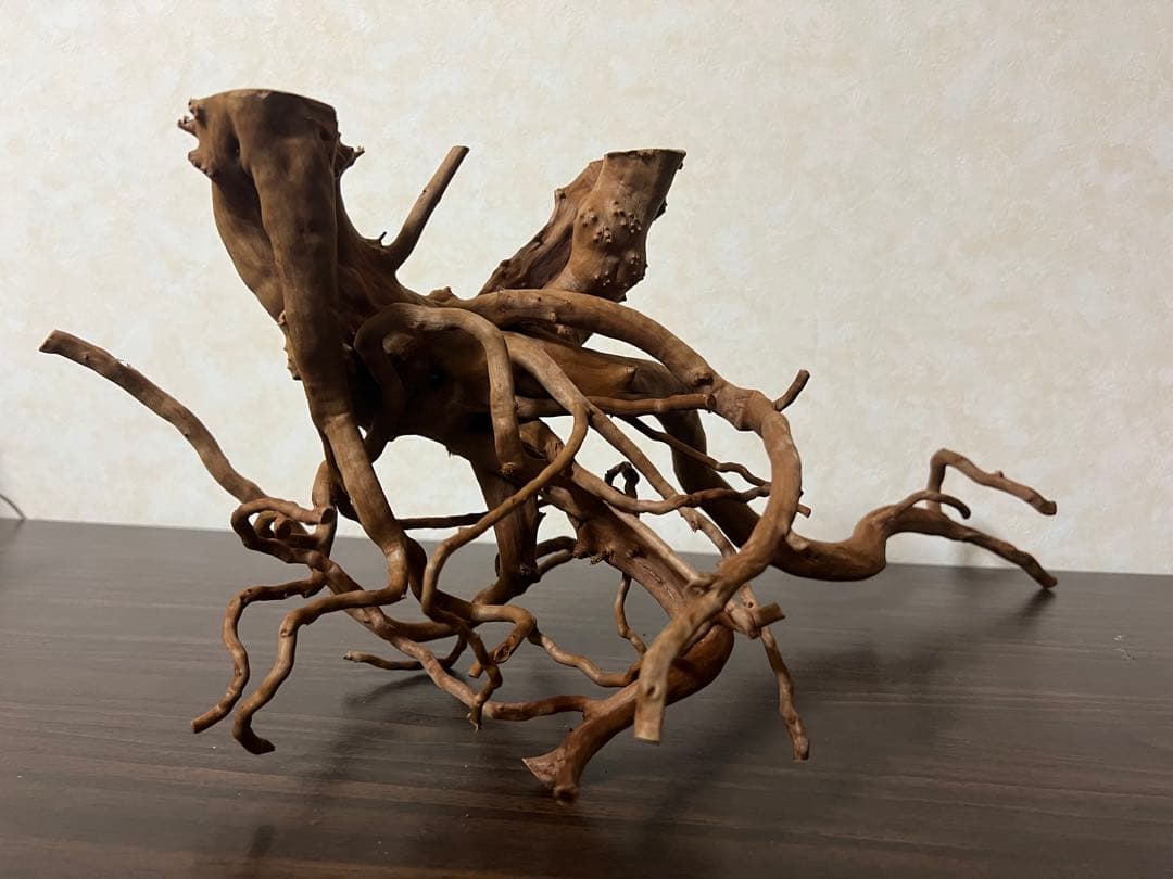 71015 ブランチウッド　流木　アクアリウム　沈水確認済