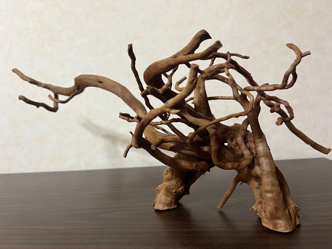 71015 ブランチウッド　流木　アクアリウム　沈水確認済