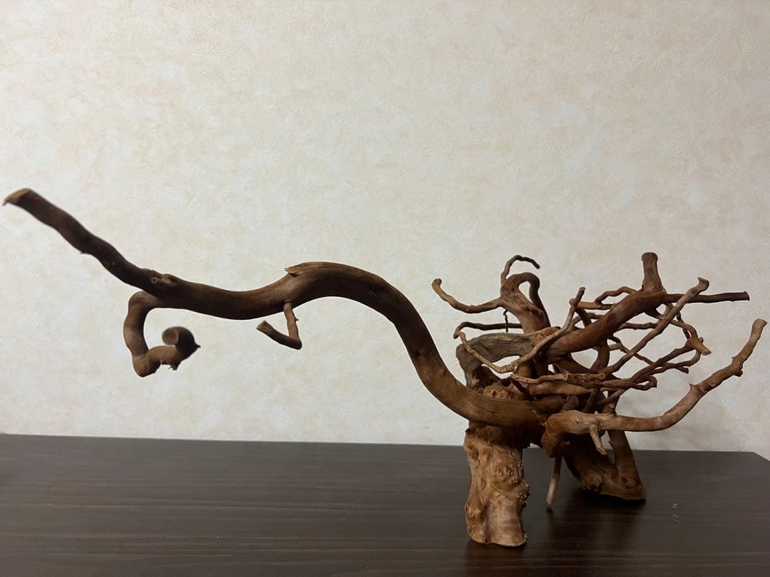 71015 ブランチウッド　流木　アクアリウム　沈水確認済