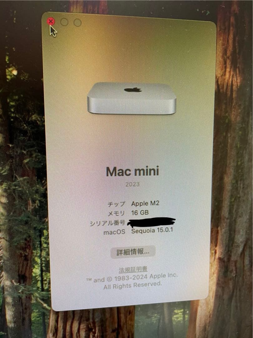 Mac mini AppleM2チップ 16GB 1TB