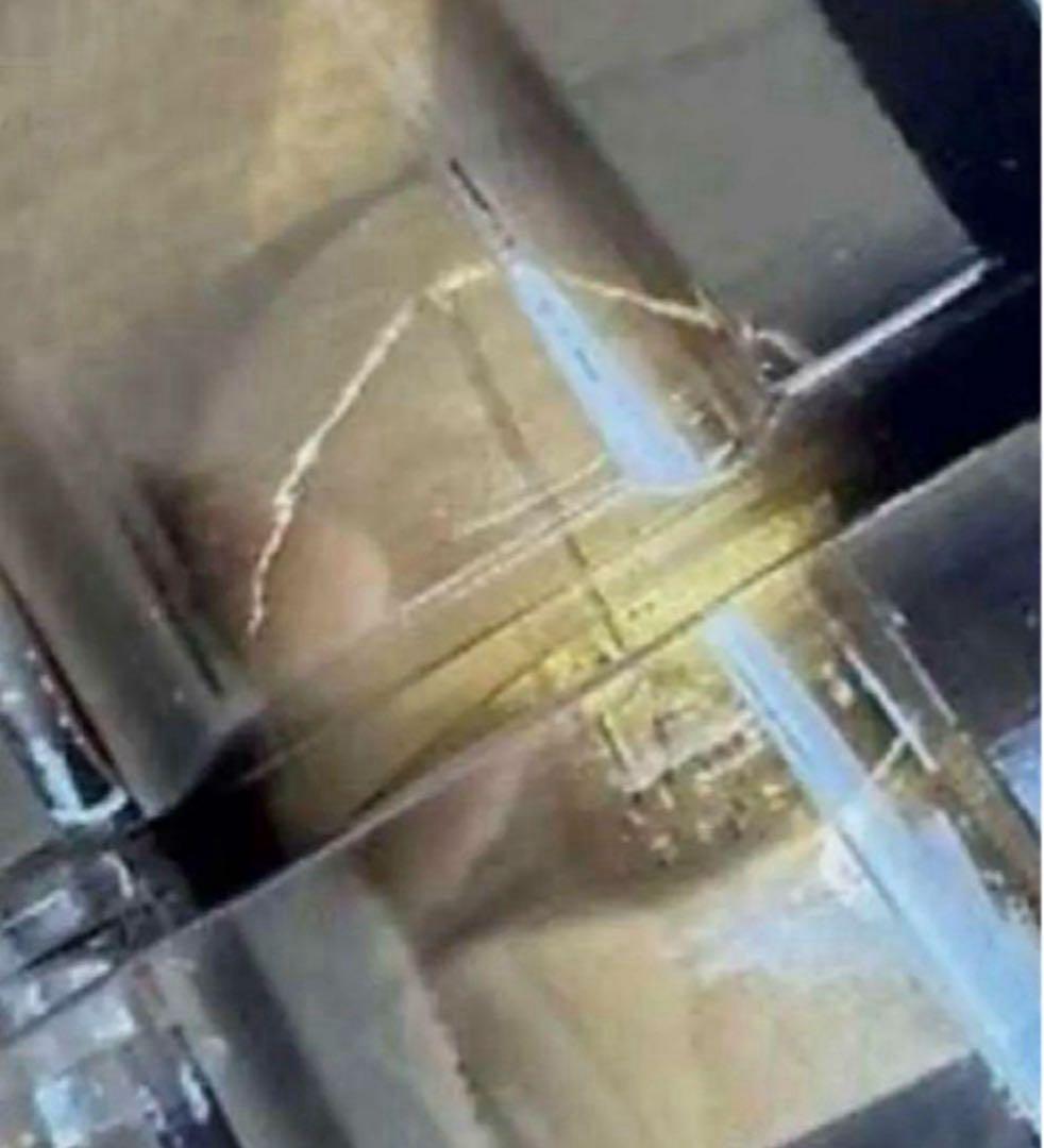 大谷翔平　デコピン　ゴールド　ボブルヘッド　来場者限定　スタジアム配布　新品