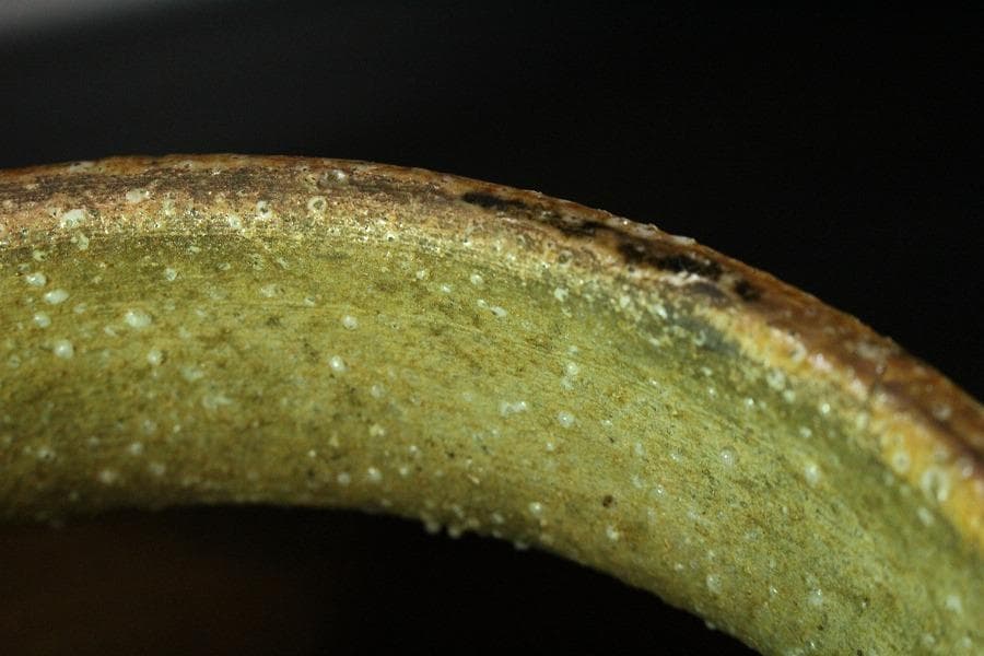 古い 信楽 茶壷 六古窯(K-XA845)