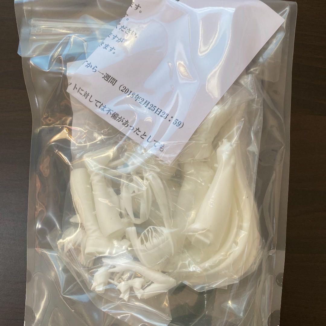 【希少】ニトクリス　英霊正装ver ガレージキット　フィギュア　フェイト