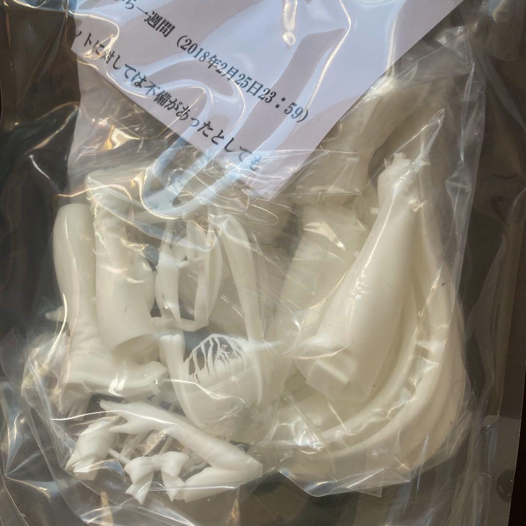 【希少】ニトクリス　英霊正装ver ガレージキット　フィギュア　フェイト