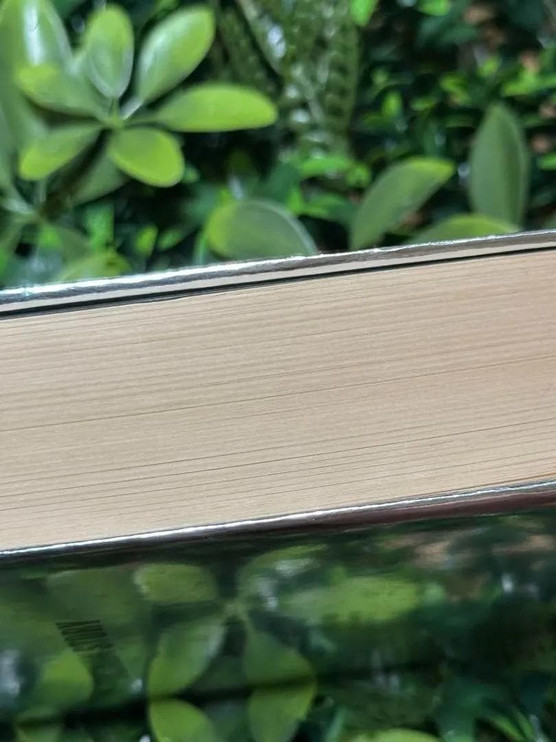 (初版)ポケモン・ストーリー 畠山けんじ 久保雅一 日経BP社