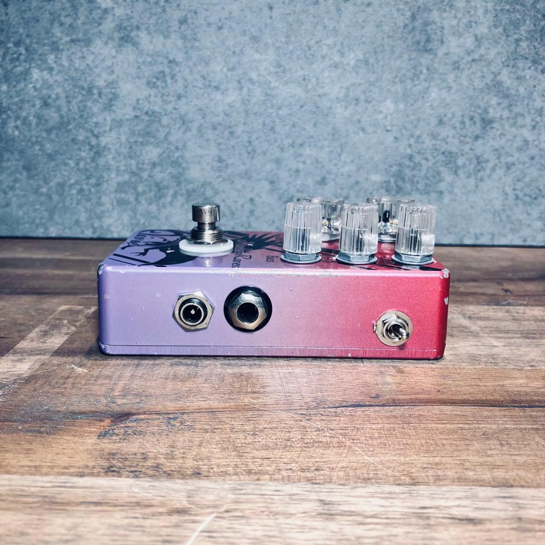 Vivie Modern Raven ギターエフェクター