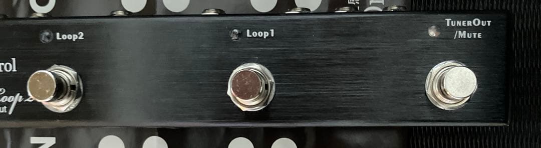 と*ん様 OneControl Iguana Tail Loop 2