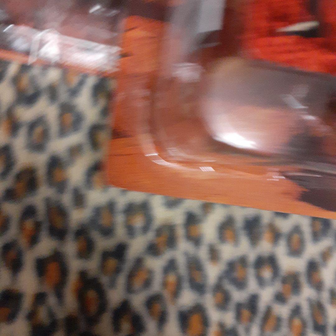 北斗の拳　199X カイオウ　限定　黒緑　金緑セット