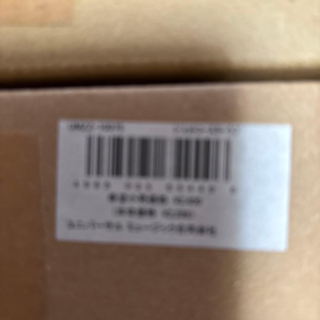 KARA 公式ポスターセット　30枚　新品