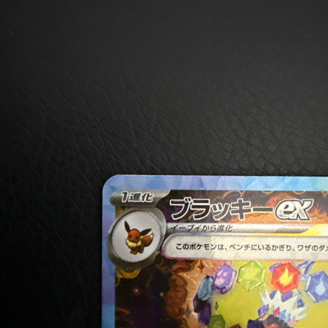 極美品ブラッキーex SAR ブラッキー、イーブイマスボミラー