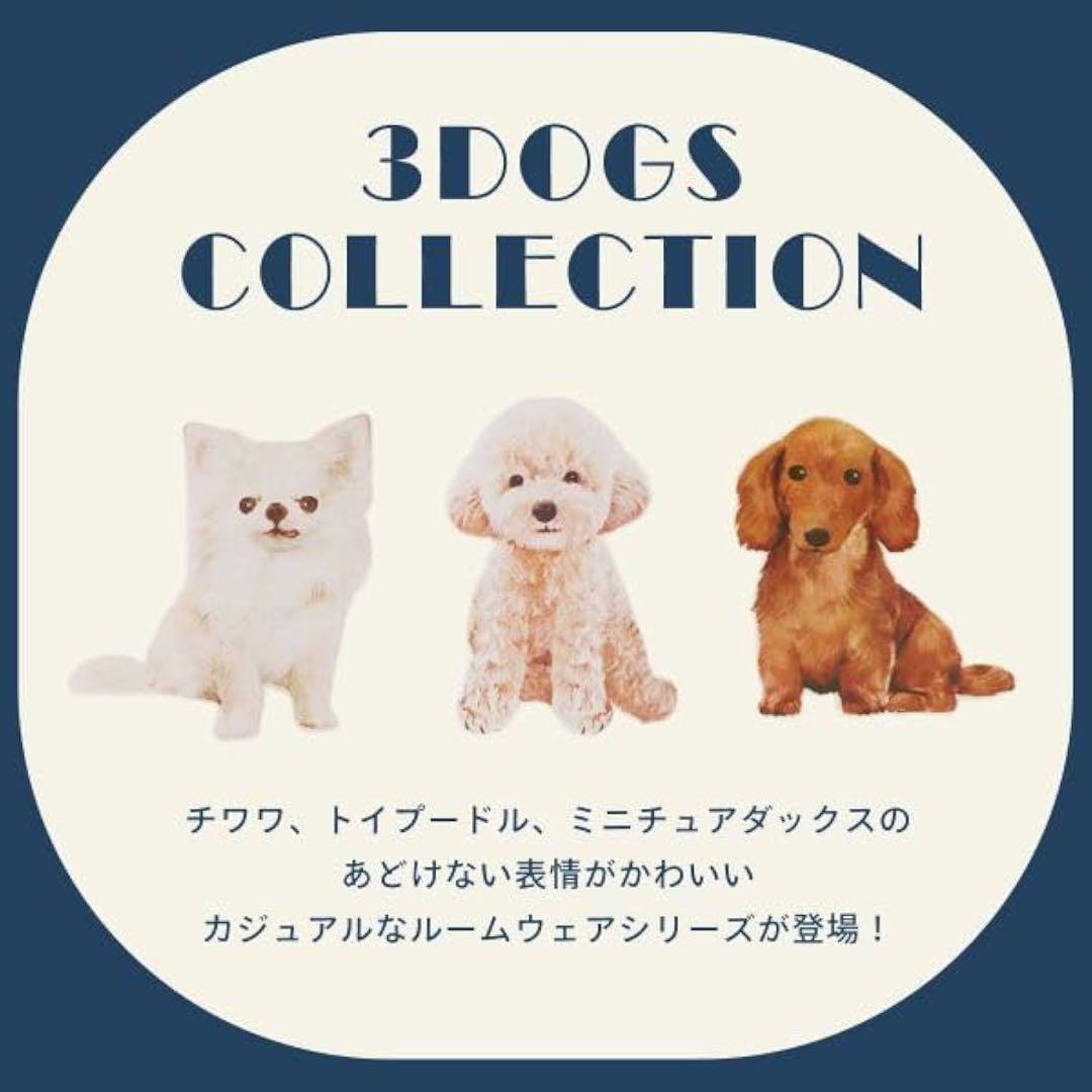 GELATO PIQUE ジュニア　セットアップ　2セット