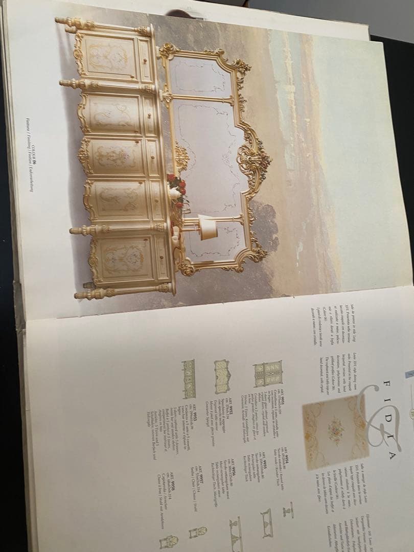 シリック　SILIK 洋書