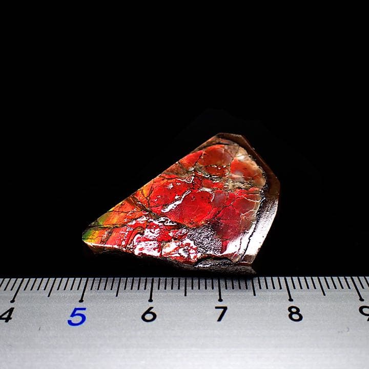 【カナダ/a産】アンモライト(プラセンチセラス)