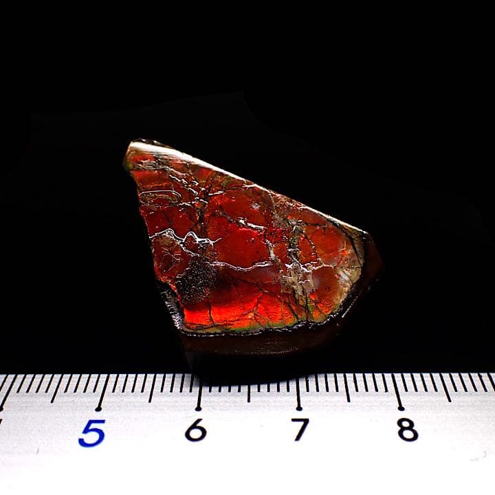 【カナダ/a産】アンモライト(プラセンチセラス)