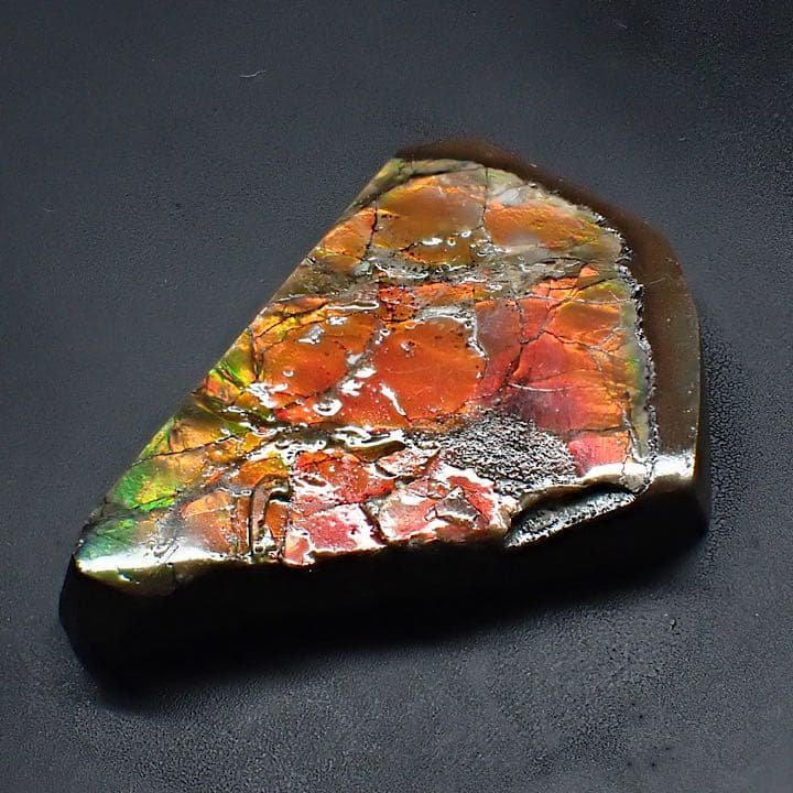 【カナダ/a産】アンモライト(プラセンチセラス)