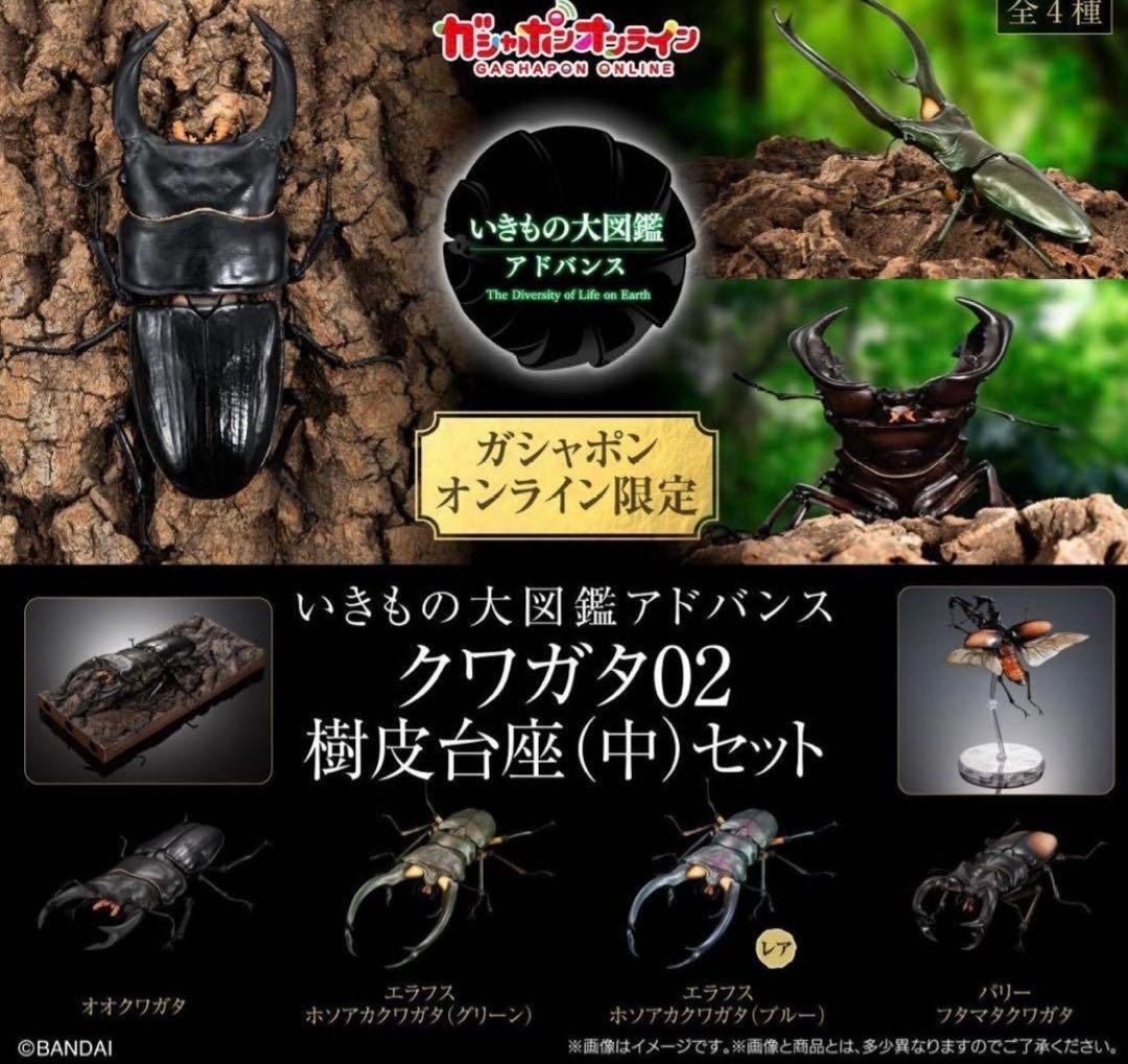 いきもの大図鑑 アドバンス クワガタ02 オンライン版 コンプ 計10個