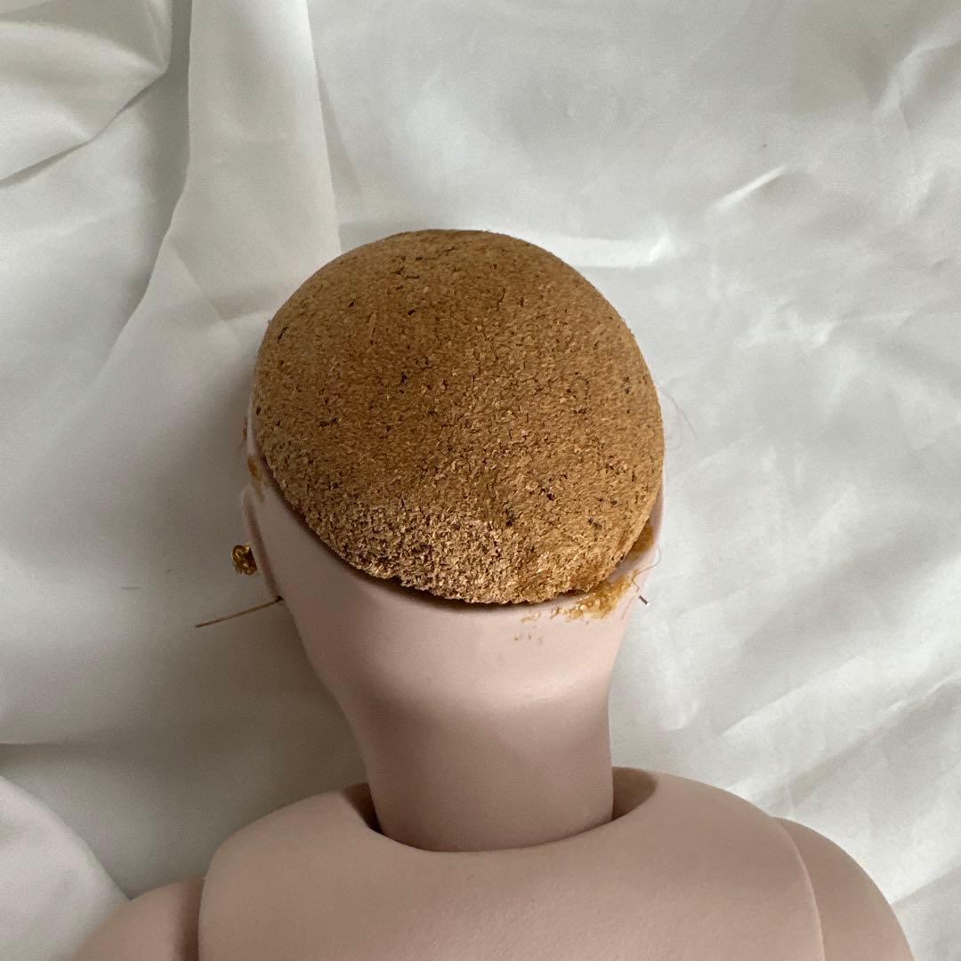 ビスクドール　ウィッグ付き　ドレス一式は付きません着用例