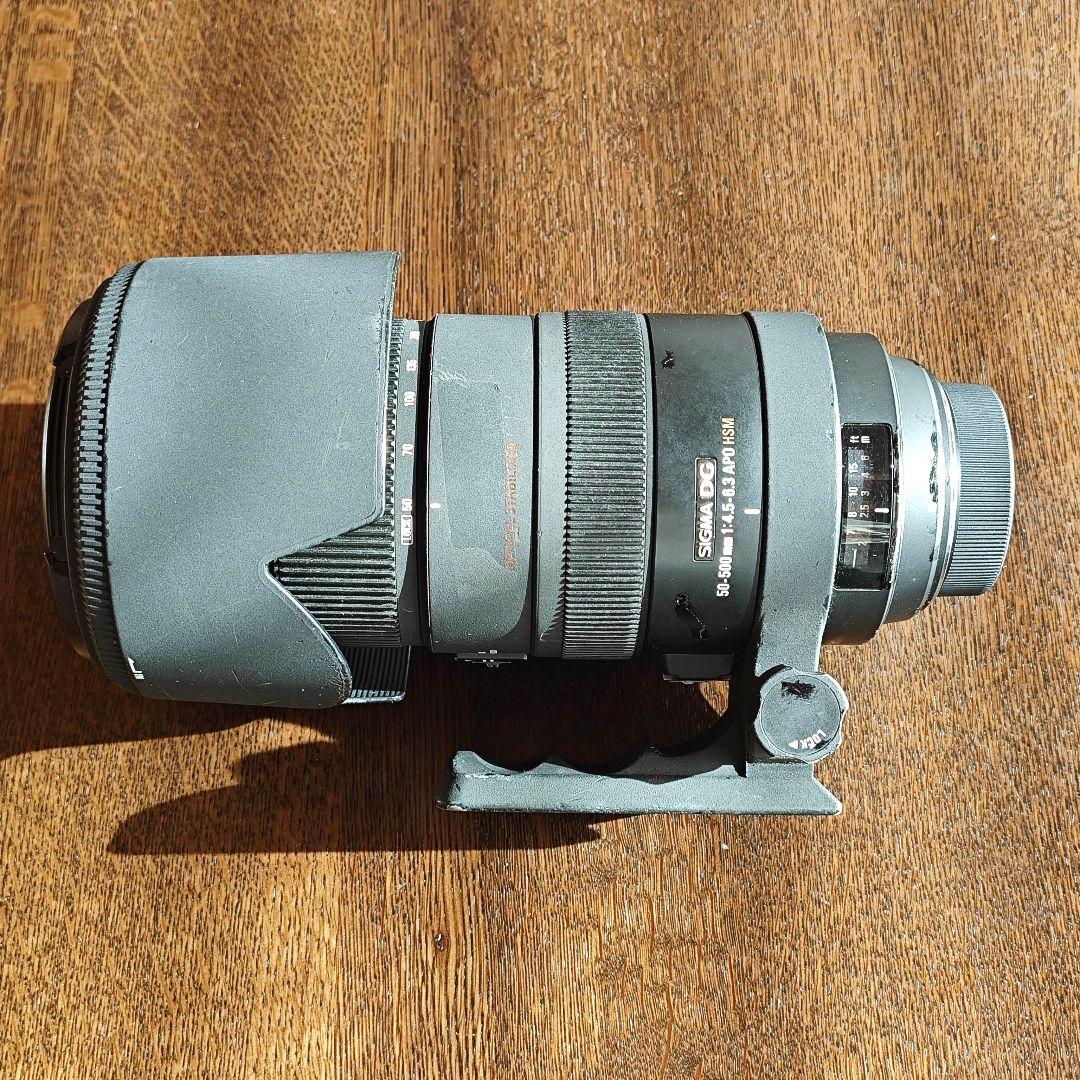 SIGMA 50-500mm F4-6.3 APO EX DG HSM ニコン用