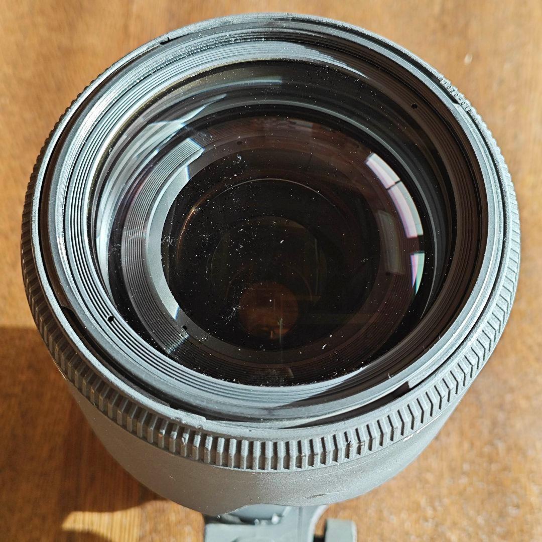 SIGMA 50-500mm F4-6.3 APO EX DG HSM ニコン用