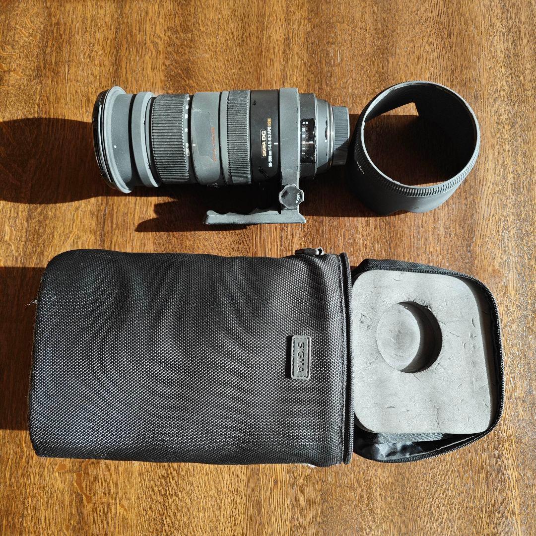 SIGMA 50-500mm F4-6.3 APO EX DG HSM ニコン用