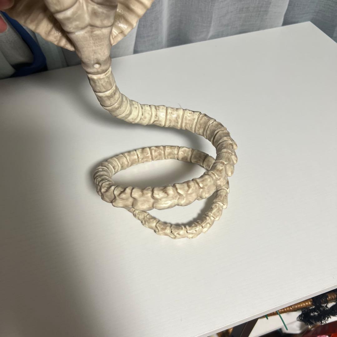 双頭 コブラ 骨格標本 骨 フィギュア ハロウィン