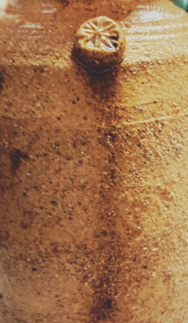 【値下げ】水野敬子 黄瀬戸 花入 【真作保証】