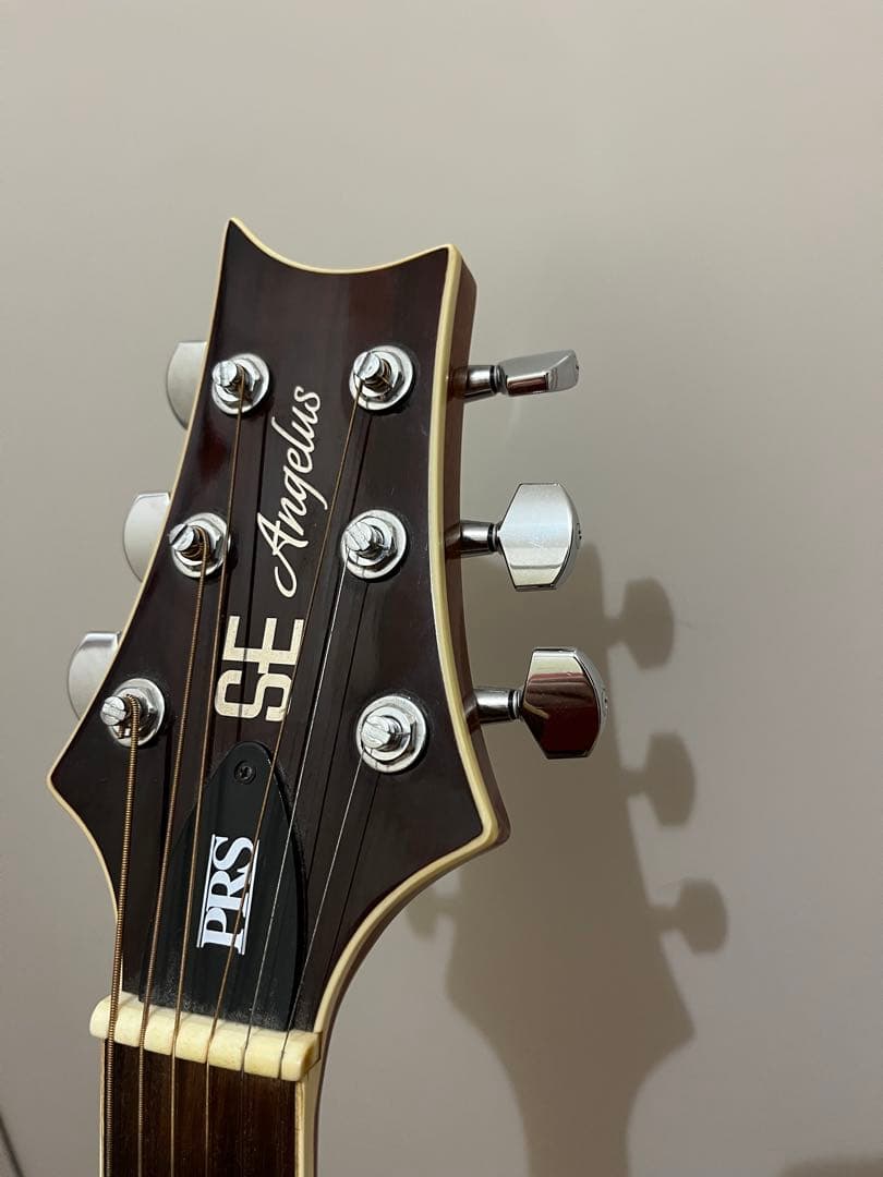 Paul Reed Smith SE Angelus Standard　エレアコ