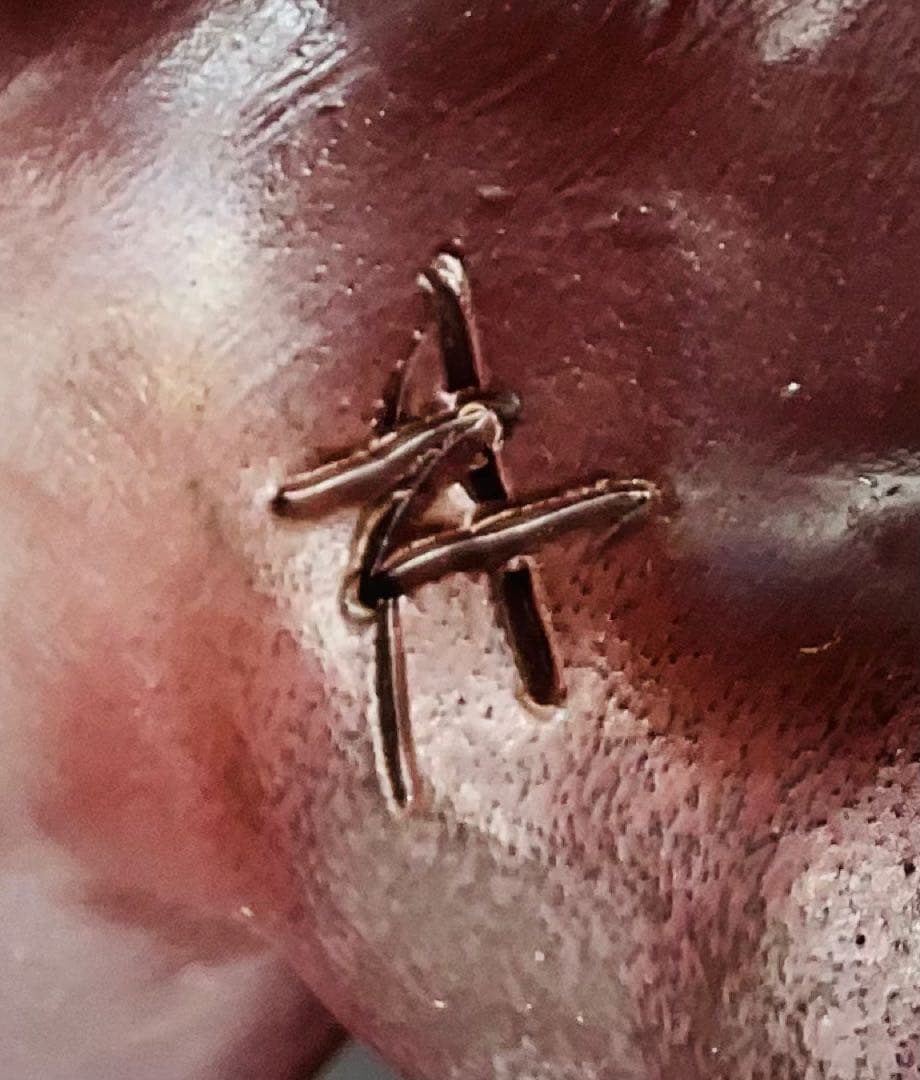 ★★ 大正生まれの名工　末石高仙先生　備前焼獅子置物　共箱【14】★★