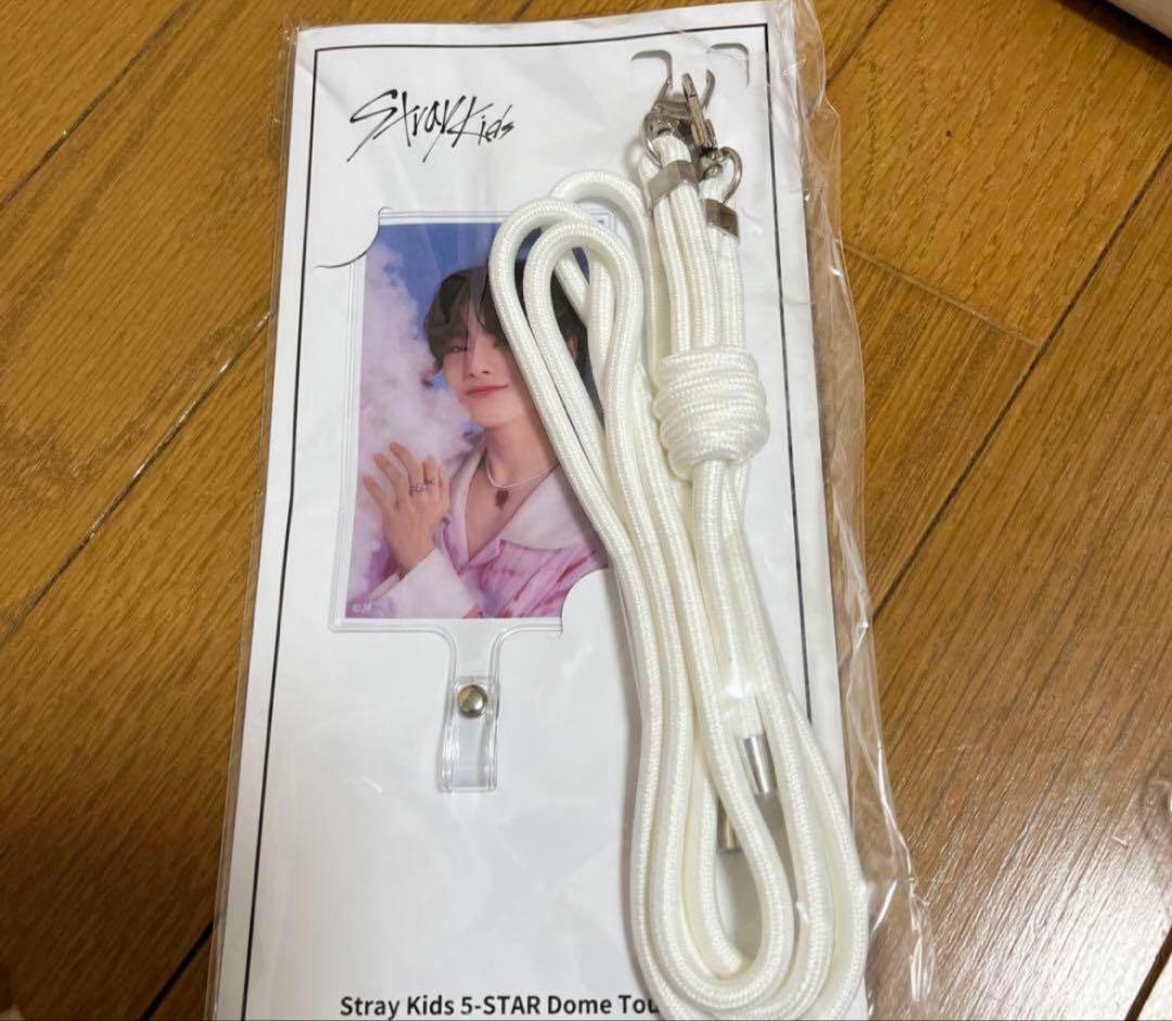 Stray Kids SKZOO アイエン フォクシニー グッズ まとめ売り