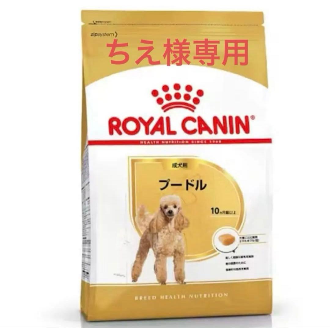 専用出品  CANIN プードル 成犬用 ドライフード7.5k